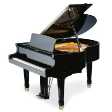 PETROF P 159 Bora, черный